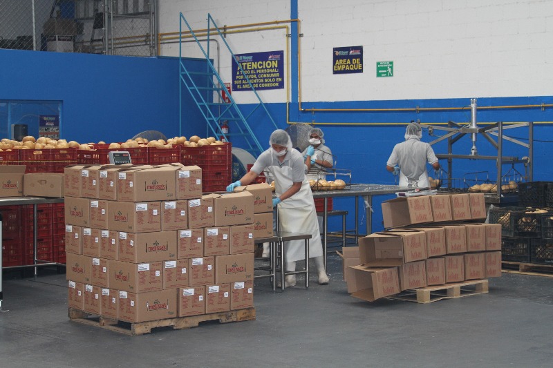 Proceso de empaque industrial