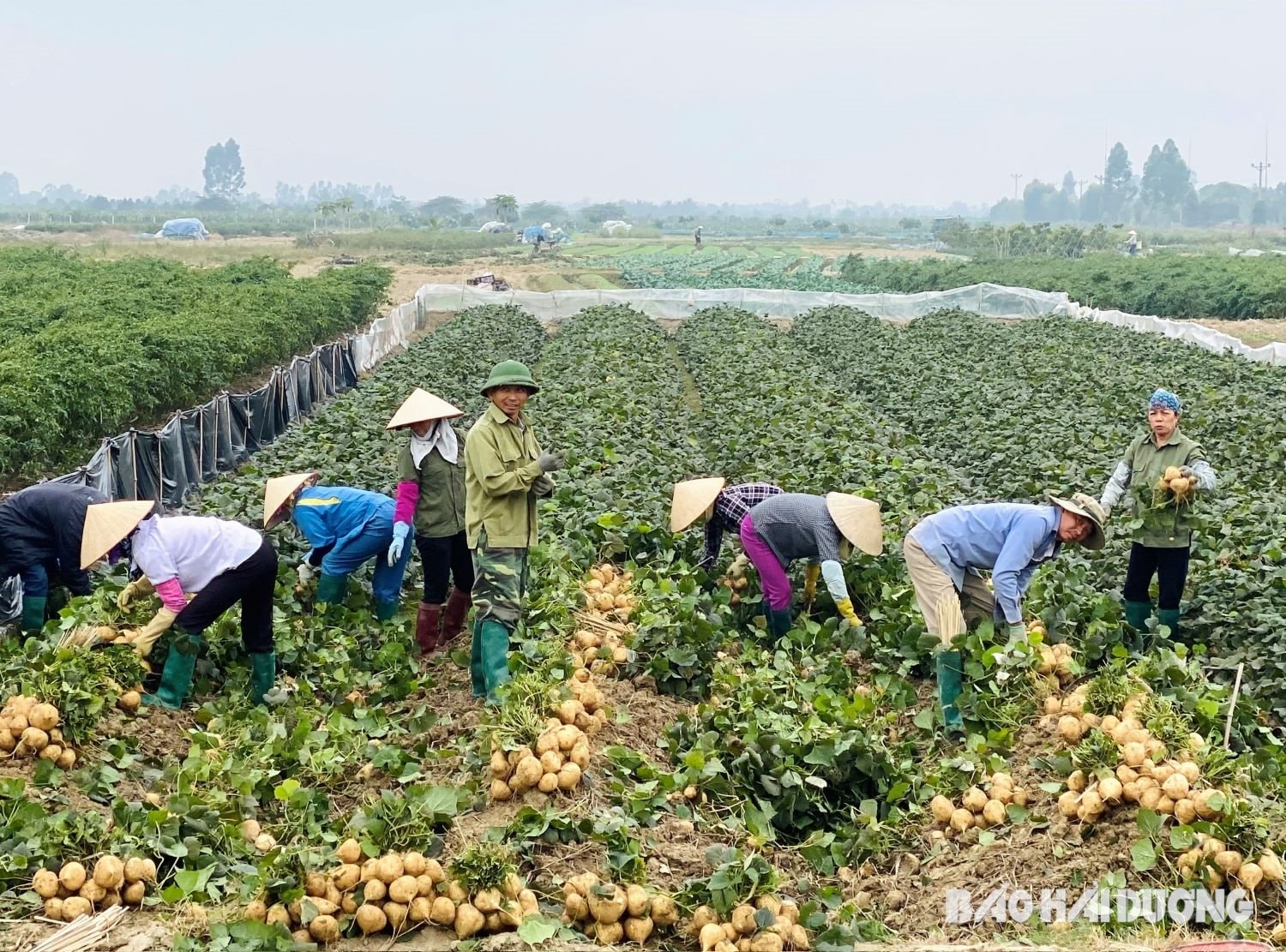 Proceso de producción y control de calidad